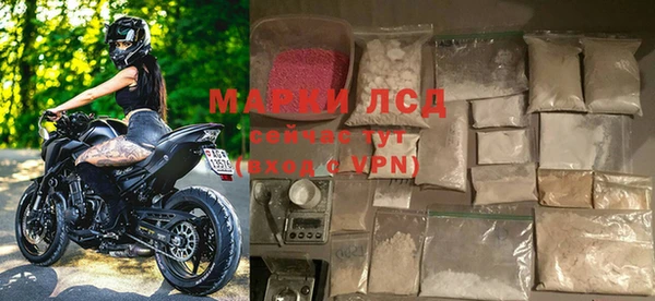 твердый Арсеньев