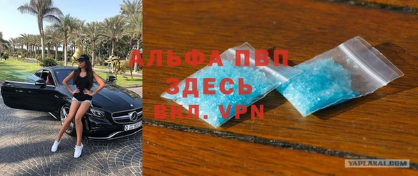 твердый Арсеньев