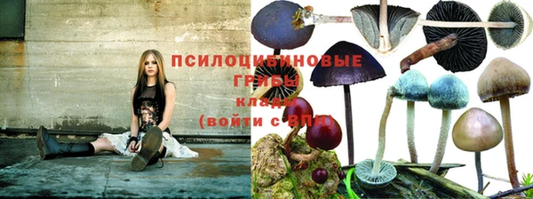 МДПВ Армянск